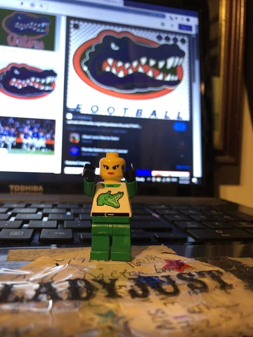 LEGO FLORIDA GATOR GIRL!!!!!! Cover