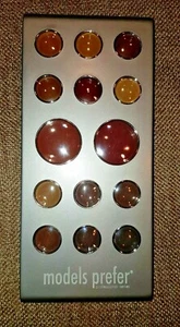 Models Prefer Eye Shadow Blush and Cream Lip Gloss Palette Professional Series - Picture 1 of 4