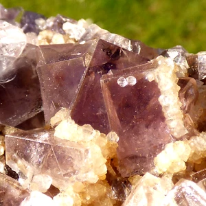 Gemmy Purple Fluorite Cluster Heights Quarry Weardale UK Mineral Specimen 8,5 cm - Bild 1 von 24