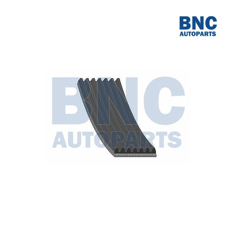 Motaquip V-Ribbed Drive Belt Fits Alfa Romeo 166 1998-2000 - Image 1 of 1