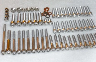 KTM 950 990 Supermoto, Adventure, Engine 66 Stainless Allen Bolts Nuts Kit - Image 1 of 4