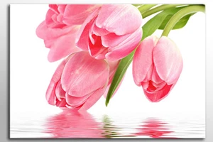 LARGE CANVAS WALL ART BEAUTIFUL PINK WHITE TULIPS FLOWERS PICTURE NEW PRINT ZEN - Picture 1 of 2