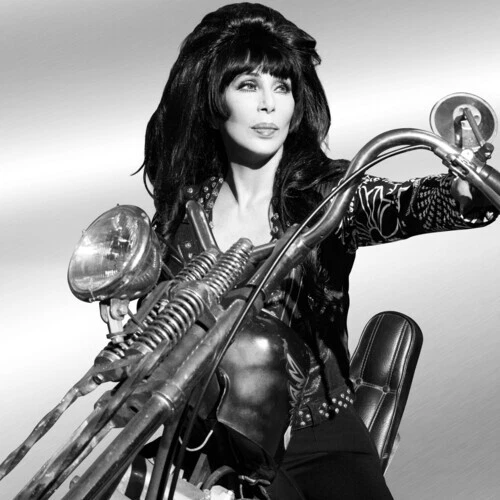 Forever by Cher (Record, 2024)