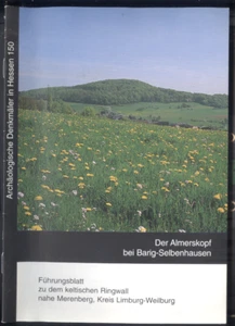 Kelten Almerskopf bei Barig Selbenhausen/Merenberg,Führungsblatt keltischer Ring - Bild 1 von 1