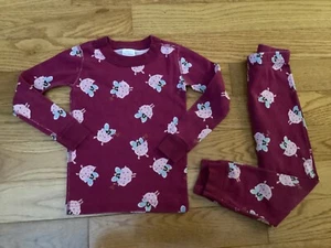 Hanna Andersson Girl 4 (100) Fairy God Mother Theme 2 PC Pajama Set - Picture 1 of 24