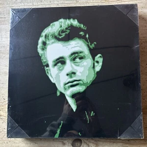 James Dean Box Print Canvas Wall Art 12 x 12" Brand New Sealed - Picture 1 of 3