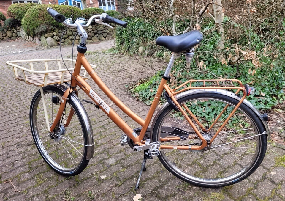 28 Zoll Pegasus Cargo, SRAM 7 Gang,Shimano Nabendynamo, LED —Licht - Bild 1 von 4