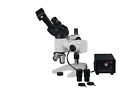 600x Binoculars Metal Metallurgical Tester High Light Microscope W USB PC Photo