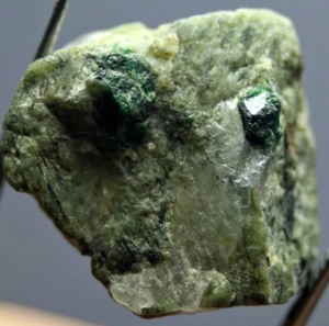 51.0 CT ultra rara!!! Cristalli di granato demantoide verde superiore esemplare in miniatura  - Foto 1 di 8