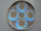 Vintage Morpho Butterfly Wing Tray Plate Wall Plaque 9 3/4" MCM