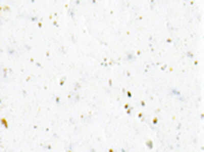 Cinelli Gel Ribbon Handlebar Tape - White - Image 1 of 2