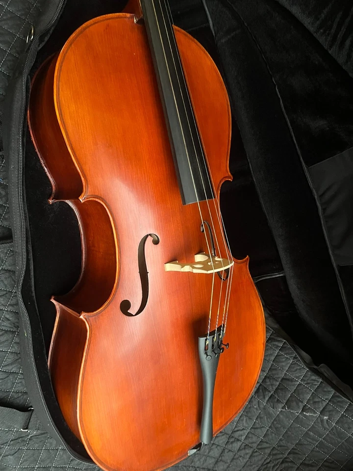 Violonchelo Samuel Eastman VC95 4/4 2018 con puente Despiau y arco - listo Foto 1 de 4