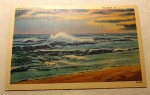 A BEAUTIFU SURF SCENE in BELMAR, NEW JERSEY Vintage Postcard by Sammuel Strauss - Picture 1 of 2