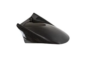 PARAFANGO POSTERIORE CARBONIO LUCIDO LIGHTECH PER APRILIA TUONO V4 1100 FACTORY - Foto 1 di 1