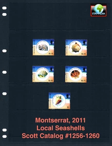 $10.50 Scott Value - 2011 MONTSERRAT Seashells Shells Caribbean CV MNH NH UMM - Picture 1 of 4