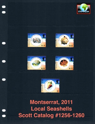 $10.50 Scott Value - 2011 MONTSERRAT Seashells Shells Caribbean CV MNH NH UMM - Image 1 of 4