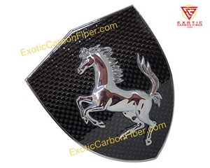 Ferrari 360 Carbon Fiber Fender Shields (Pair) - Bild 1 von 3