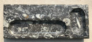 Organisateur de bureau exclusif fossile plateau stylo cadeaux fête des pères - Photo 1/10