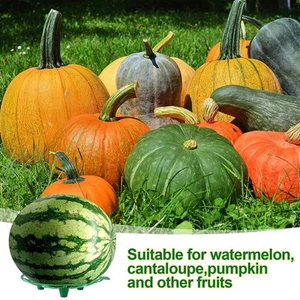 Melon Cradle Stand Pumpkin Support Cradle Lightweight 10Pcs For Garden - Photo 1 sur 12