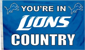 Detroit Lions You're In Lions Country Man Cave Flag Banner 3x5 Tailgating Flags - Picture 1 of 10