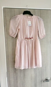New Next pink chiffon dress age 11 bridesmaid flower girl wedding Lined Floaty - Picture 1 of 14