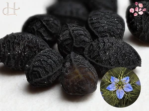 Alteya Organic Black Seed Oil 50ml/100ml – Nourishes, Calms & Renews Skin & Hair - Picture 1 of 17