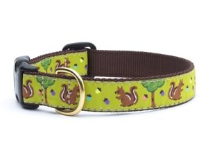 Up Country - Dog Design Collar -Made In USA - Nuts & Squirrels - XS S M L XL XXL