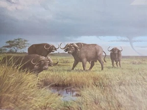 Firmado Numerado STORMY DAY OWEN GROMME IMPRESIÓN Buffalo Tornado 29.5 x 22 5/8" NUEVO - Imagen 1 de 8