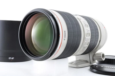 [Casi Como Nuevo] Canon EF 70-200mm f/2.8 L IS II USM con Capucha, Estuche... - Imagen 1 de 4