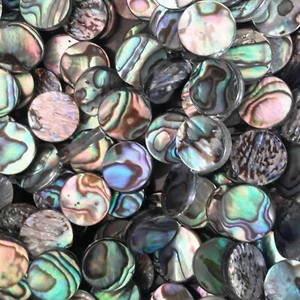 Natura Paua Shell, grado A, cuenta plana redonda, 12 mm, 33 piezas, franqueo gratuito - Imagen 1 de 2