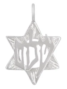 14k White Gold Peace Shalom Star of David Charm Pendant 1.7 grams - Picture 1 of 2