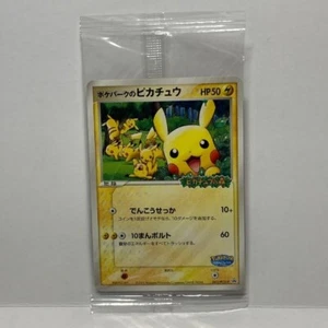 Pokemon PokePark Pikachu Promo Card - New & Sealed - Collector's Item 048/PCG-P - Picture 1 of 6