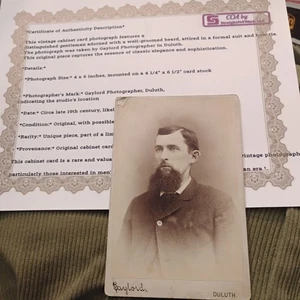 Vintage Cabinet Card Photo Bearded Man Suit Bow Tie Gaylord Photographer Duluth - Picture 1 of 12