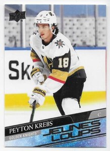 20/21 UPPER DECK SERIES 1 FRENCH BASE & YOUNG GUNS (#1-250) U-Pick From List