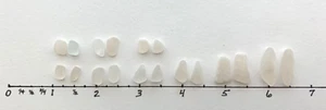 18 Stück Strand Meer Glas JQ matt Ozean Brandung Basteln weiß klar Seeglas Paare G1 - Bild 1 von 13