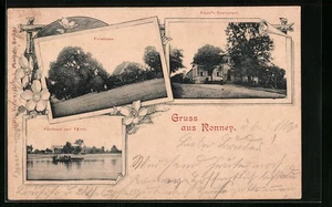 Ronney, Ansichtskarte, Fährhaus und Fähre, Forsthaus, Knaufs Restaurant 1900 - Picture 1 of 2