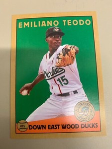Emiliano Teodo Card 2022 Down East Wood Ducks Team Card