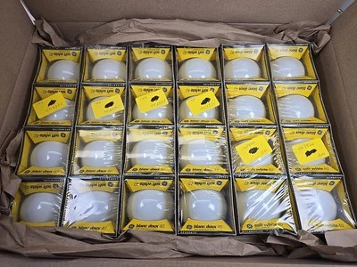 24 GE 40W Soft White Decorative G25 Light Bulbs Lamps Globe Vanity Standard base - Image 1 of 4