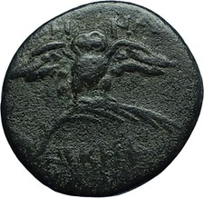 PERGAMON in MYSIA Genuine 133BC Authentic Ancient Greek Coin ATHENA & OWL i66282
