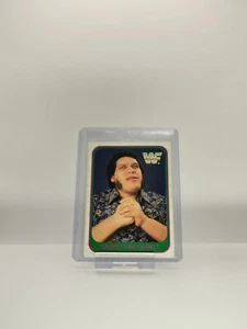 WWF WWE Merlin 1991 / Andre the Giant / #35 - Bild 1 von 1
