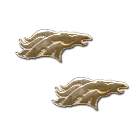 Denver Broncos Earrings Cover