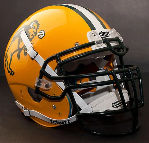 *CUSTOM* NORTH DAKOTA STATE BISON NCAA Schutt XP GAMEDAY Replica Football Helmet Cover