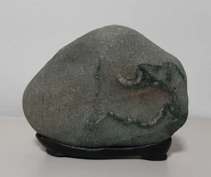 Tenryu River Pattern Stone Suiseki Japanese Viewing Stone with Base 17cm - Picture 1 of 8