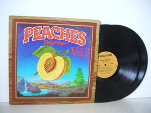 PEACHES VOL 2 PROMO Double LP 1975 CAPRICORN PRO 605 Allman Brothers Wet Willie - Picture 1 of 8