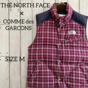 Limited THE NORTH FACE x Junya Watanabe CDG Comme des Garcons Down Vest Asian M - Picture 1 of 8