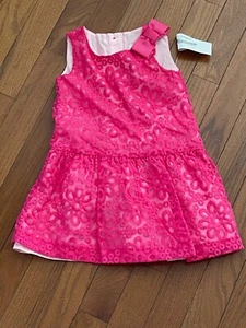 Gymboree Girls Dressed Up by Gymboree Hot Pink Lace Dress Size 4 4T New - Picture 1 of 8