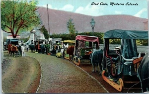 Ochsen gezogene Schlittenhütten, Madeira Inseln, Portugal Postkarte - Bild 1 von 2
