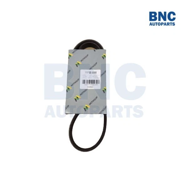 Correia de transmissão Motaquip com nervuras em V compatível com Rover 75 1999-2005 - Imagem 1 de 1