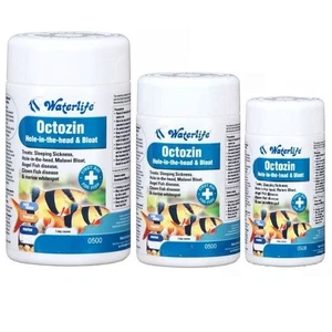 Waterlife Octozin Aquarium Treatment Internal Parasites Hole In the Head Dropsy - Picture 1 of 4