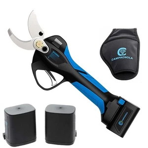 FORBICE POTATURA STARK L 21.6V + 3 BATT. 2.5AH + VALIGIA + ACCESSORI CAMPAGNOLA - Imagen 1 de 1